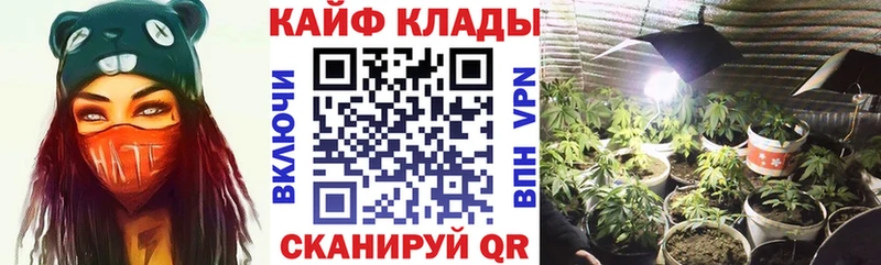 Где купить наркотики Каменка ГАШ  Codein  Alpha-PVP  Меф  Бошки Шишки 