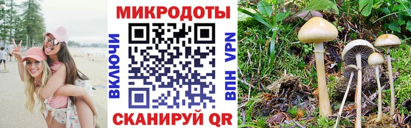 купить наркоту  мориарти какой сайт  Галлюциногенные грибы Cubensis  Каменка  hydra зеркало 
